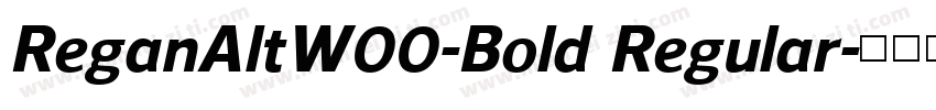 ReganAltW00-Bold Regular字体转换